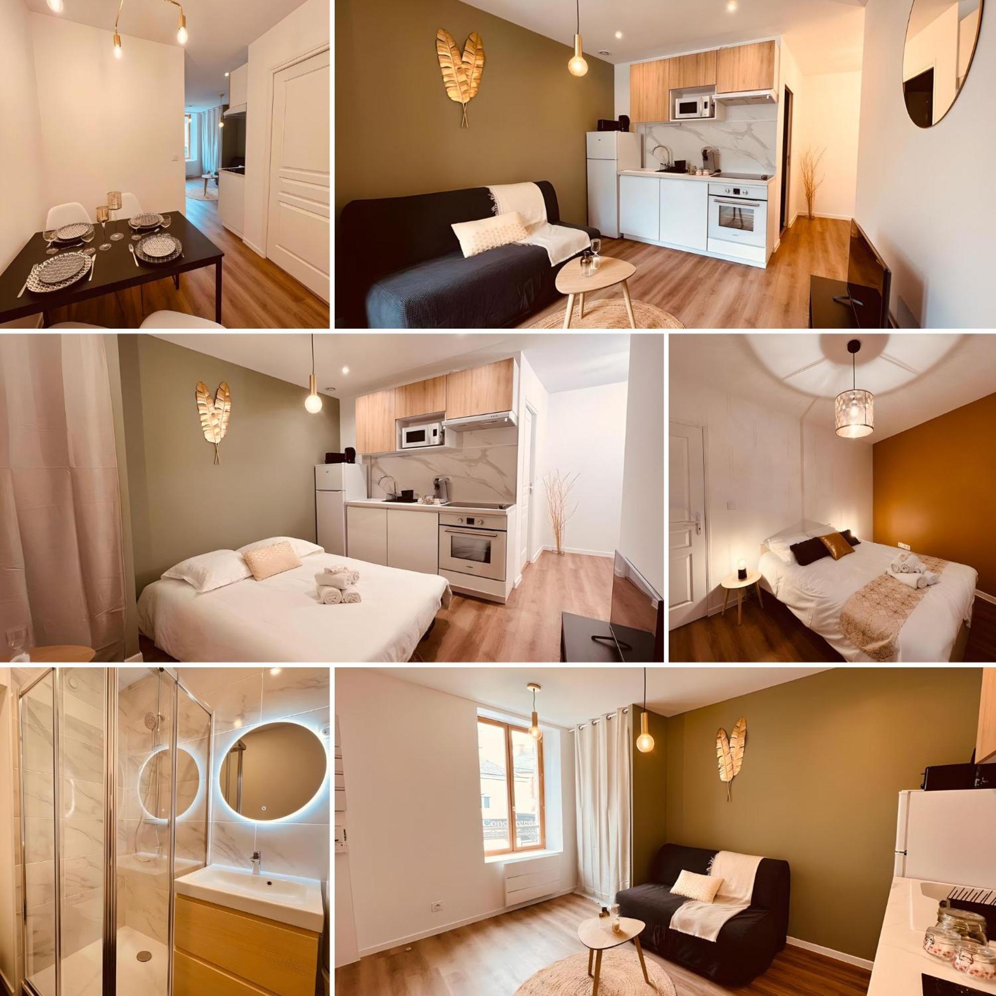 Le Golden - Home Homy Vierzon Exterior photo
